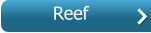Reef