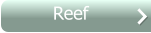Reef